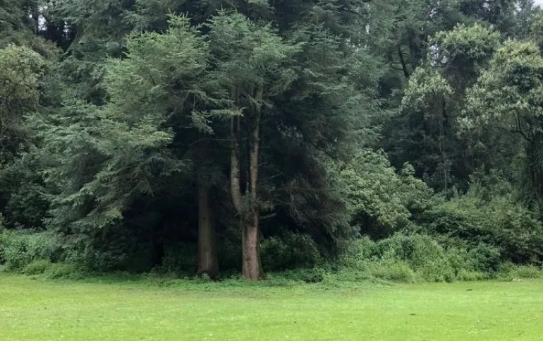 Terreno en Venta en Mazatla Jilotzingo $500 por m2