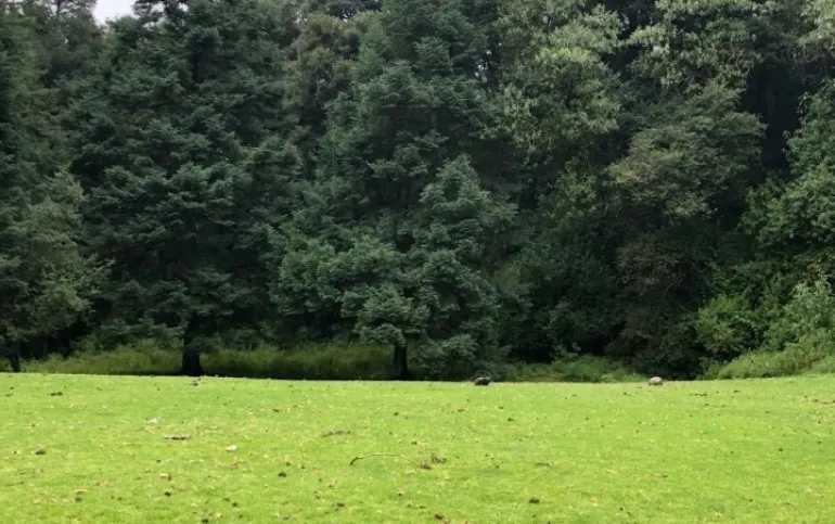 Terreno en Venta en Mazatla Jilotzingo $500 por m2