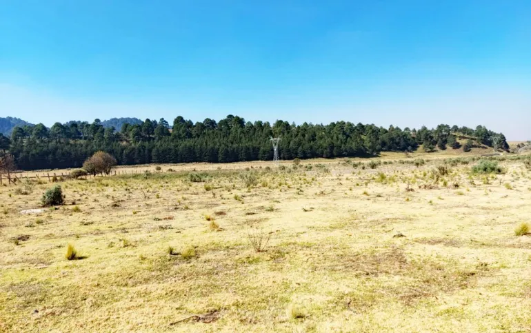 En venta 15 has cerca Santiago Tianquistenco