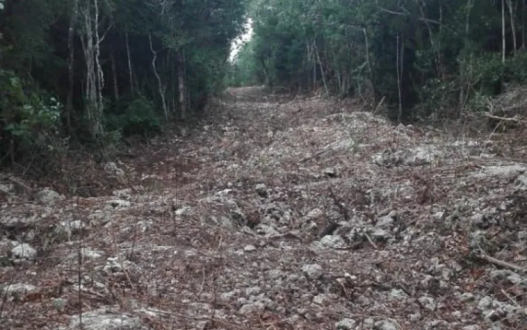 Terreno en Venta en Tulum Quintana Roo