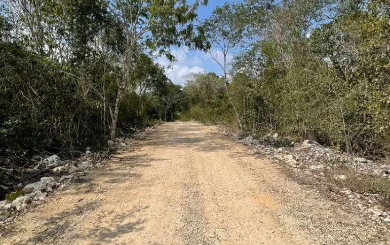 Terreno de Inversión en Región 8, Tulum