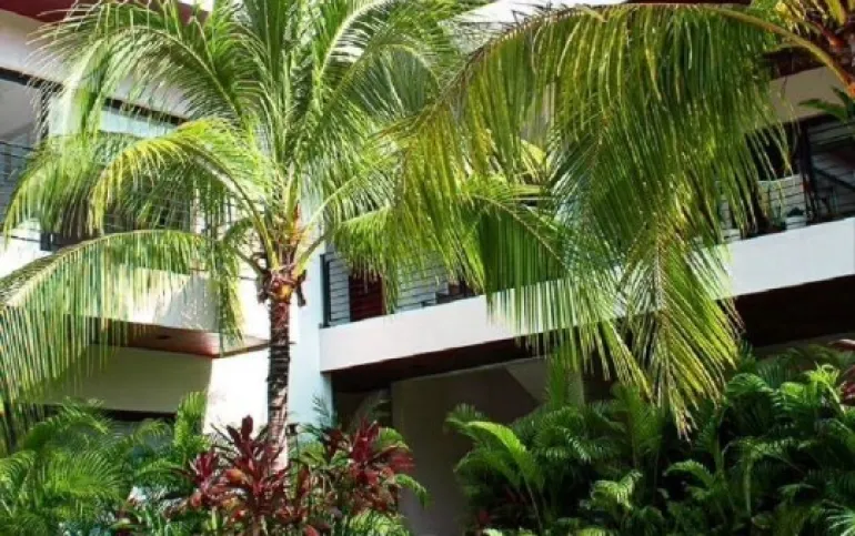 Exclusive Condos • Aldea Zama • Tulum • 2 BD • 248yd2 • Rooftop.