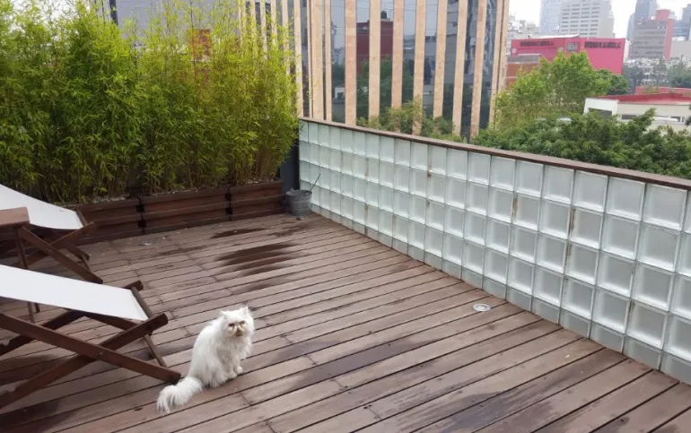 Vendo Penthouse de 3 niveles en colonia Roma, Ciudad de México