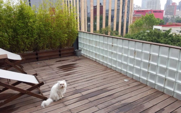 Vendo Penthouse de 3 niveles en colonia Roma, Ciudad de México