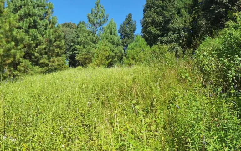 TERRENO COMERCIAL EN VENTA VALLE DE BRAVO.