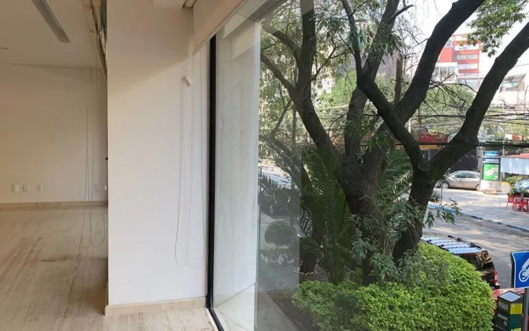 Depto en Polanco Newton edificio de pocos años