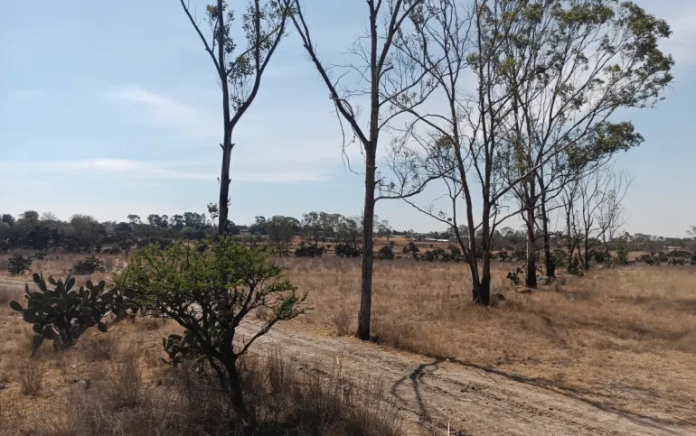 Venta de Terreno en carretera Mexico Querétaro
