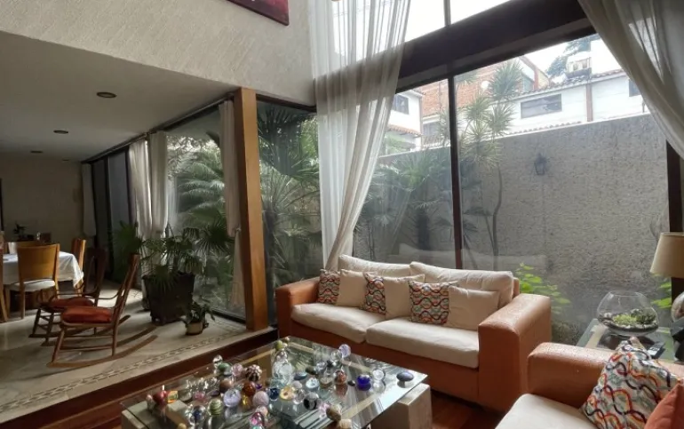 COYOACAN / Del Carmen, Viena