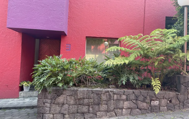 FLOR DE MARIA / Av. de las Flores