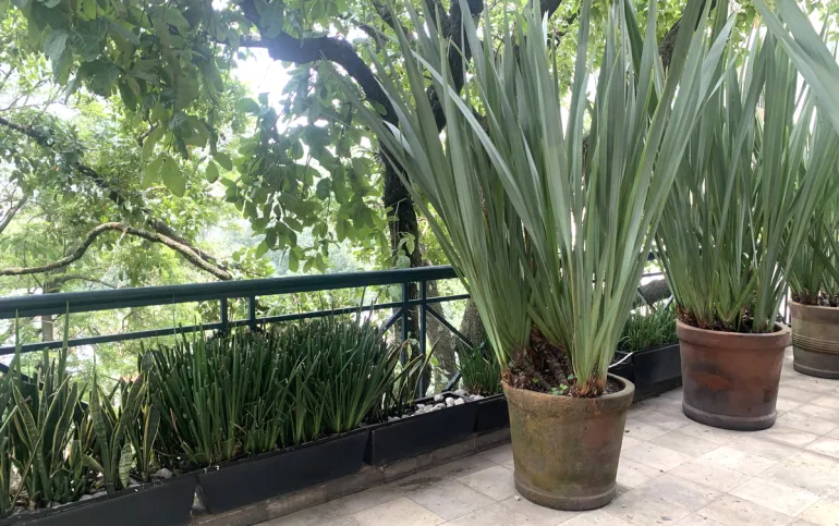 Impecable Depto Residencial Blvd Reforma II c Terraza listo para entrar