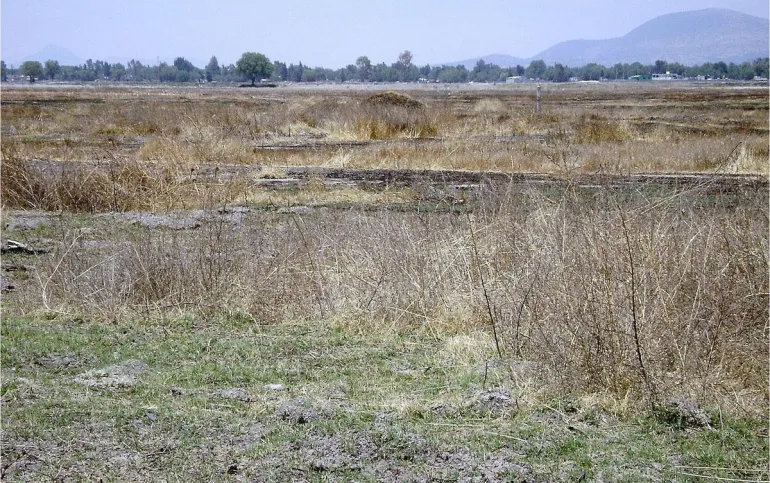 Terreno en venta, Nextlalpan EM