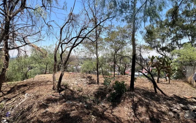 Dos terrenos en venta, Jardines del Pedregal