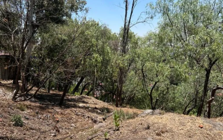 Dos terrenos en venta, Jardines del Pedregal