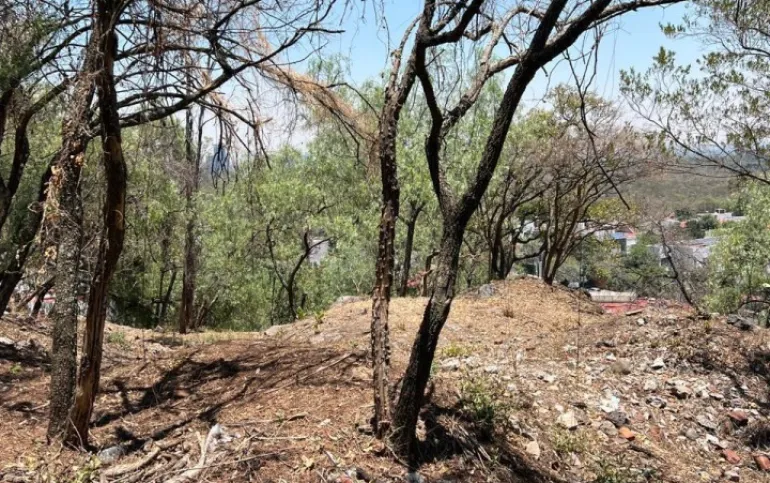 Dos terrenos en venta, Jardines del Pedregal