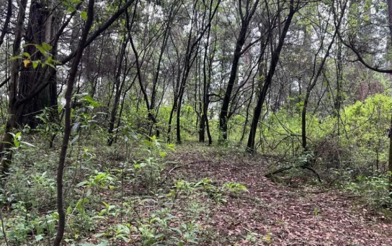 Terreno en venta Carr. Libre Mex-Toluca