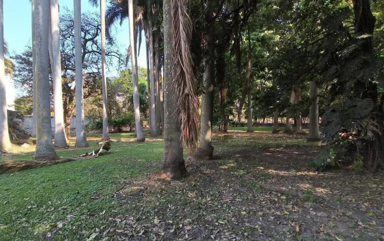 Compra el terreno y te llevas la casa de campo incluida