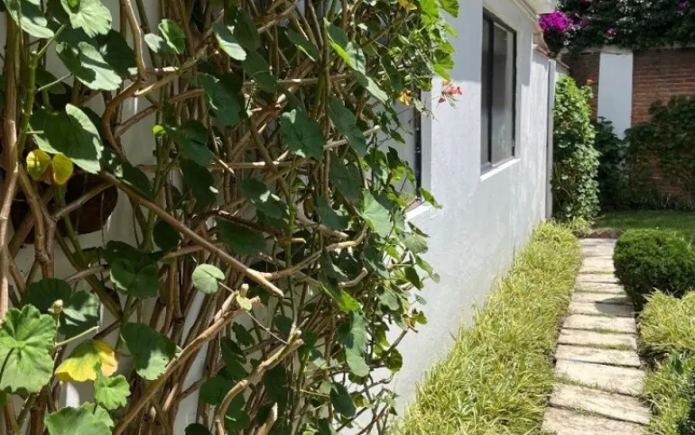 Casa de una sola planta