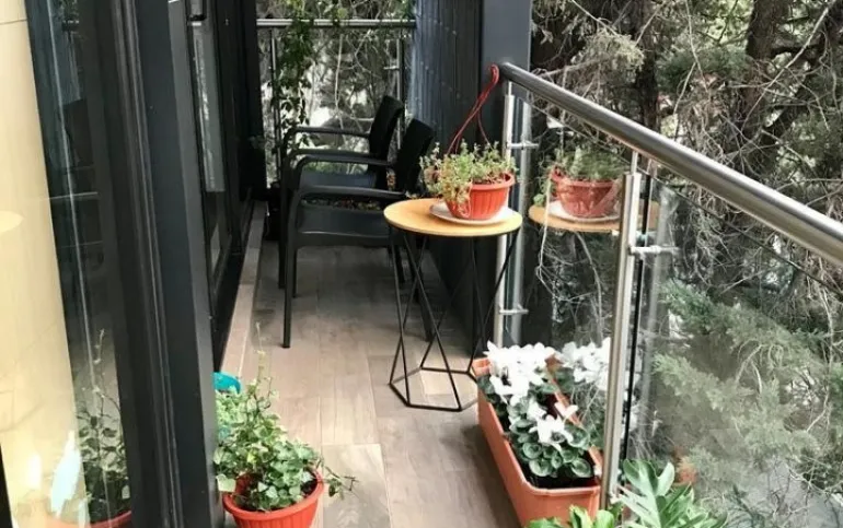 ROMA NORTE / San Luis Potosi.