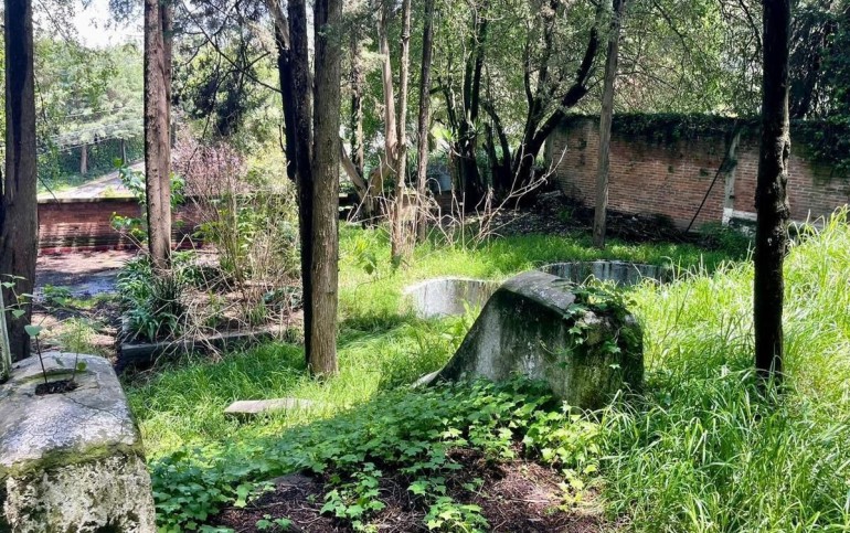 DOBLE FRENTE DOBLE OPORTUNIDAD DESIERTO DE  LOS LEONES !