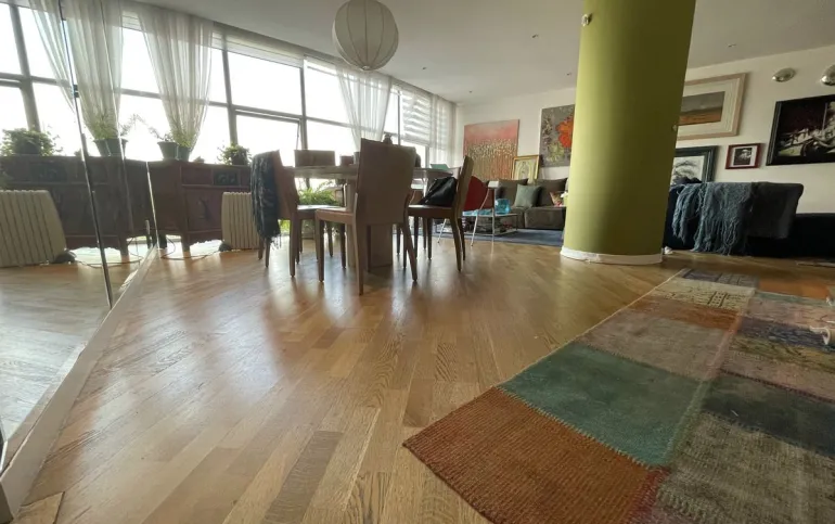 LAS AGUILAS / Fujiyama