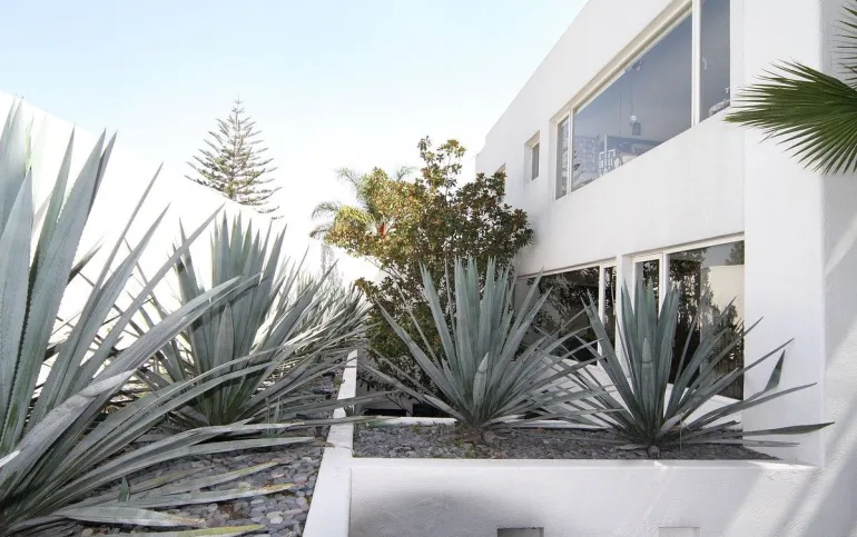 Casa en Venta y Renta en Jardines del Pedregal, Álvaro Obregón