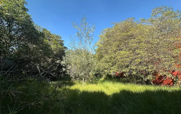 Oportunidad Exclusiva en Lomas de Vista Hermosa