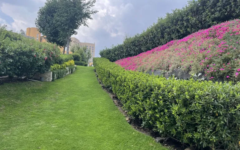 STA FE / La Loma - Real de Santa Fe