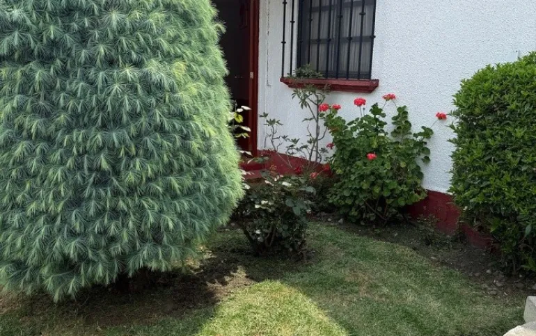 Departamento Planta Baja