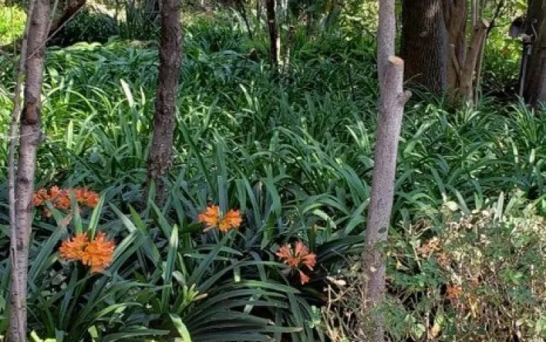 Terrreno en venta, San Jerónimo Lídice