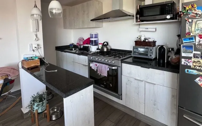 Departamento a unos pasos de Polanco , Marina Nacional