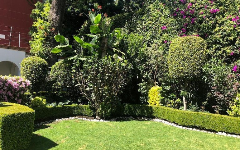 Casa en venta o renta, San Ángel