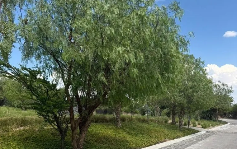 Terreno en Venta, Amanali Country Club
