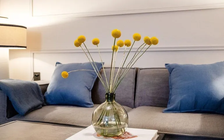 Departamento Amueblado en Renta – Roma Norte