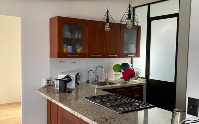 Departamento en Renta PH Roof Garden en Polanco