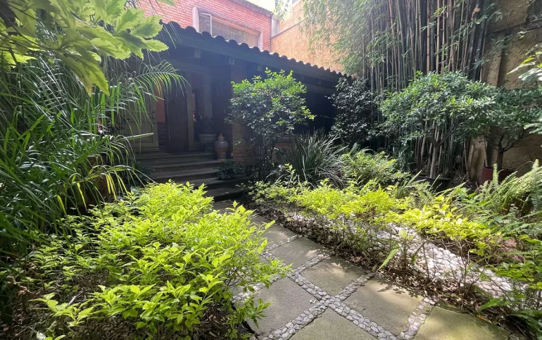 COYOACAN / Barrio San Lucas