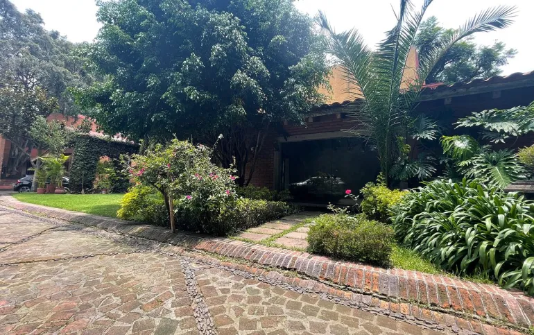 COYOACAN / Barrio San Lucas