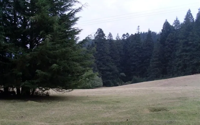 Propiedad con bosque, servicios y potencial de desarrollo a 20 minutos de Interlomas y Zona Esmeralda