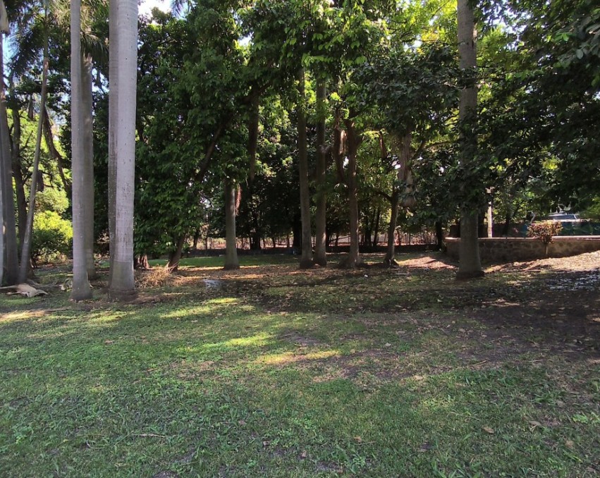 Compra el terreno y te llevas la casa de campo incluida