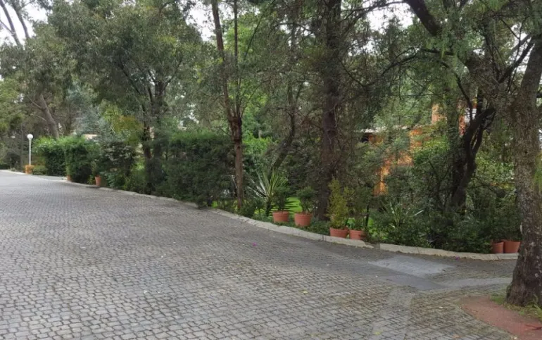Terreno en Venta en fraccionamiento ecológico con Casa Club